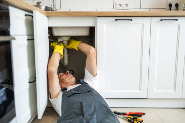 Best Same-Day Plumbing Service  in Lexington, MN
