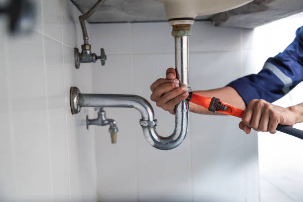 Best Toilet Repair Services  in Lexington, MN