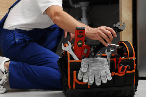 Best Clogged Drain Plumber  in Lexington, MN